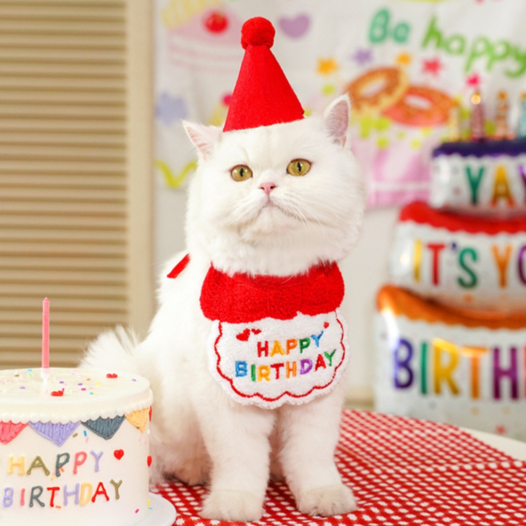 Cute Pets Birthday Hat with Dress up Bib Adjustable Colorful Necklace Cats ( No Exchange )