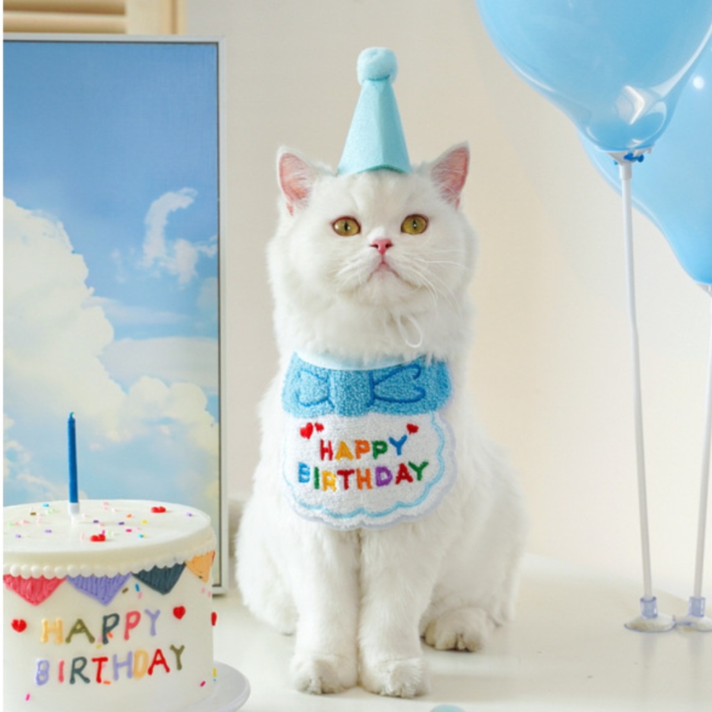 Cute Pets Birthday Hat with Dress up Bib Adjustable Colorful Necklace Cats ( No Exchange )