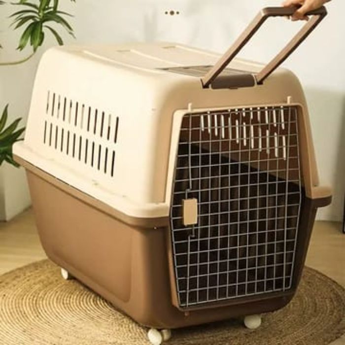 Trolley type Largest Sized Carrier Box for Dog & Animal