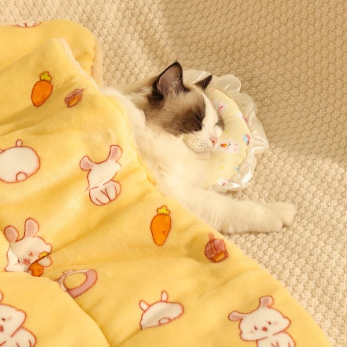 Premium Pet Cat & Puppy Comfortable Plush Blanket Winter Bed For Pet