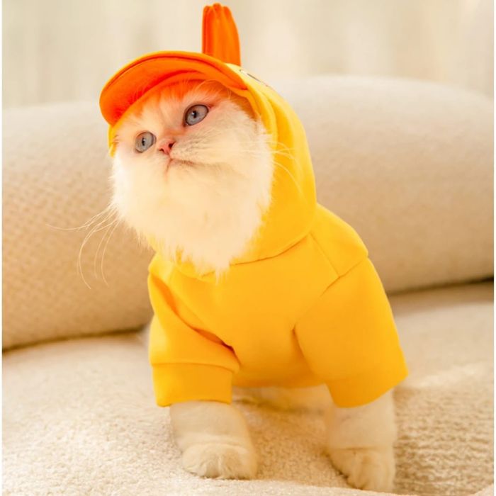 Halloween Party Theme Warm Hoodie Sweater / Dress for Pet Cat & Puppy ( No Exchange )
