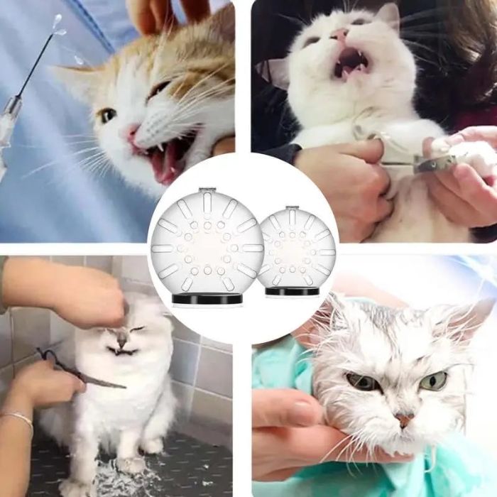 Premium Pet Cat Round Breathable Helmet Protective Cats Prevent Biting Transparent Head Shield for Grooming