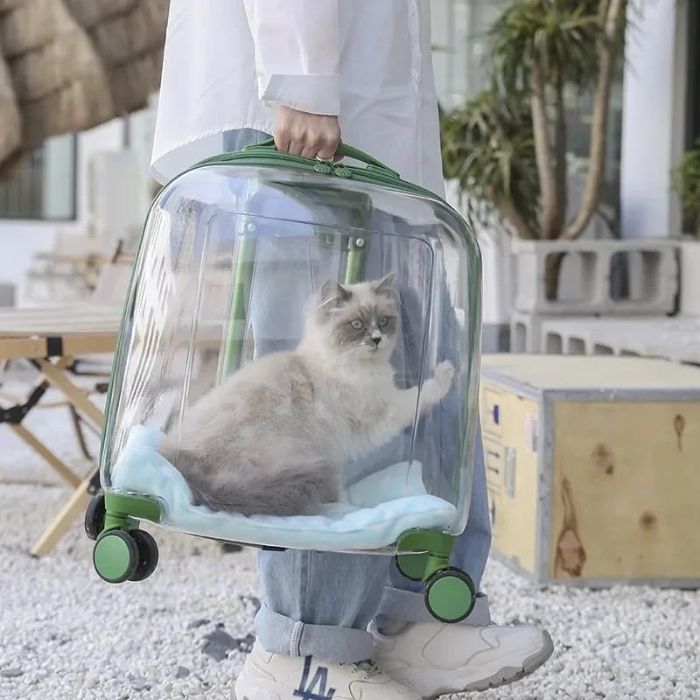 Cat travel Trolley Cage Space Capsule Transparent Portable Large Capacity Bag for Pet Cat & Puppy  (Inside Dhaka only)