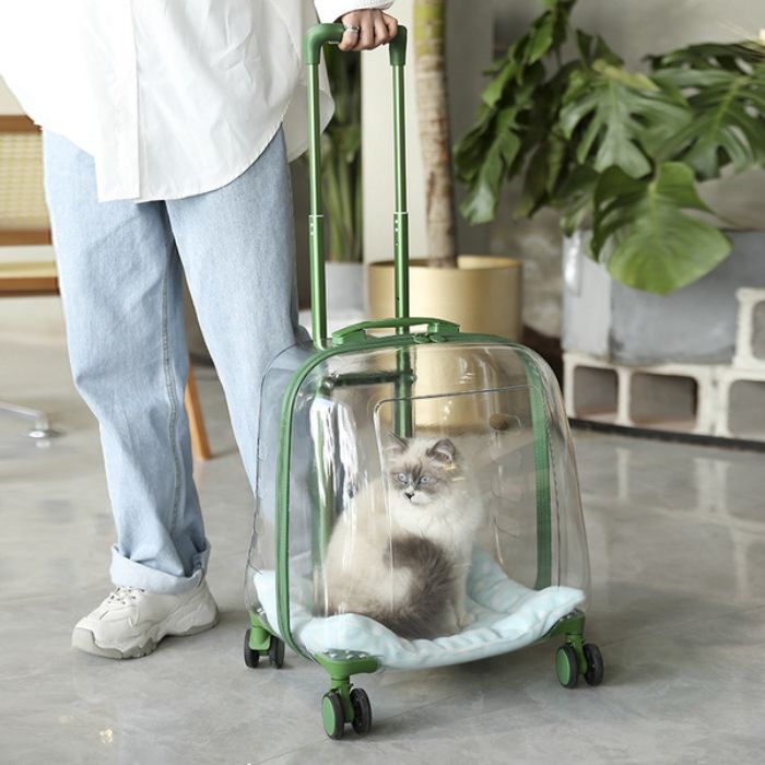 Cat travel Trolley Cage Space Capsule Transparent Portable Large Capacity Bag for Pet Cat & Puppy  (Inside Dhaka only)