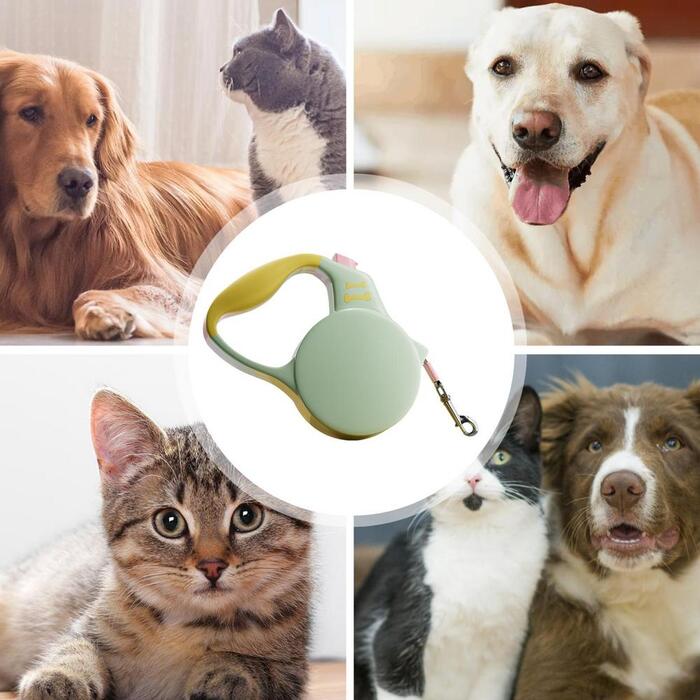 Colourful Automatic Retractable Nylon Leash with Break Button for Cats & Dogs