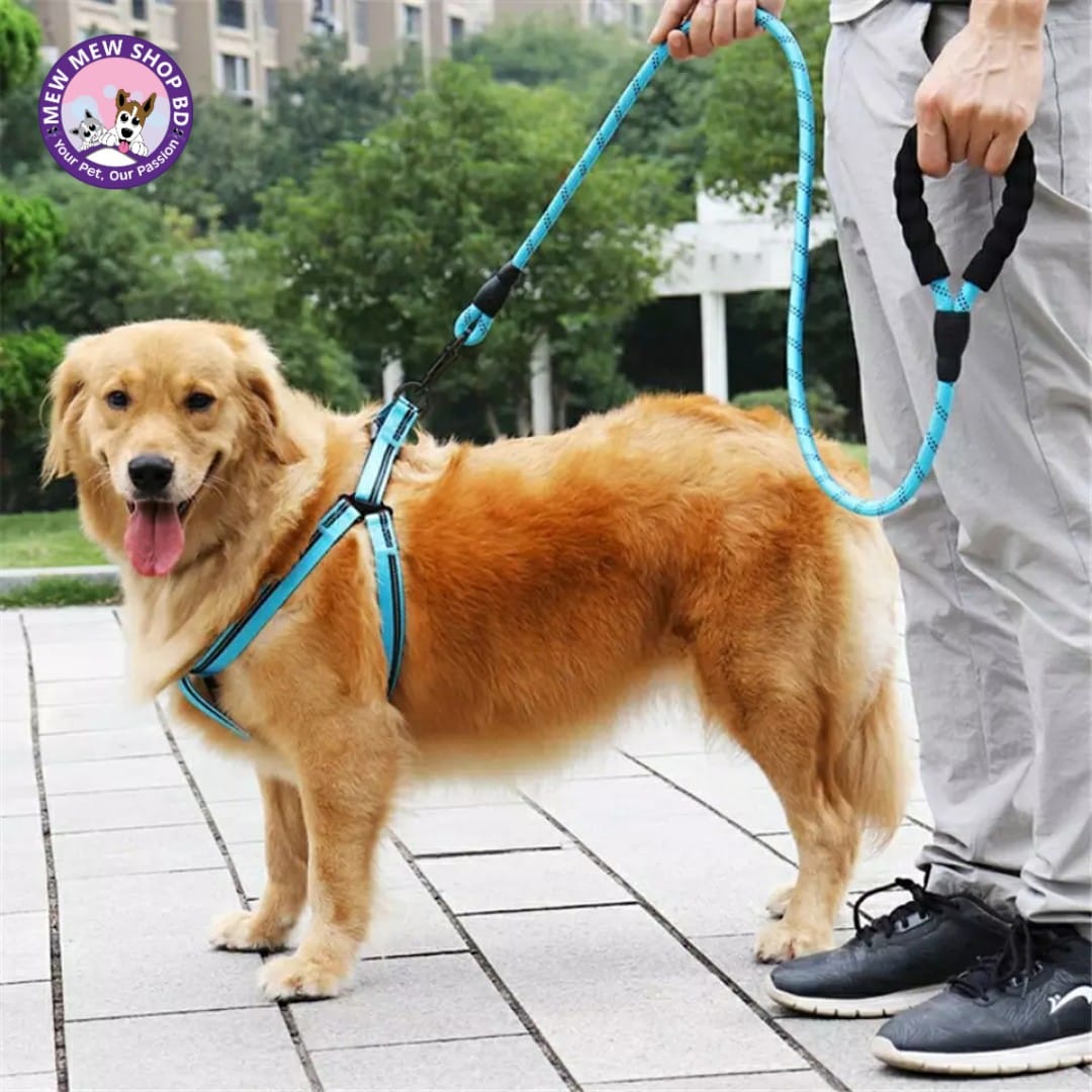 Premium Reflective Puppy & Dog Harness with Leash