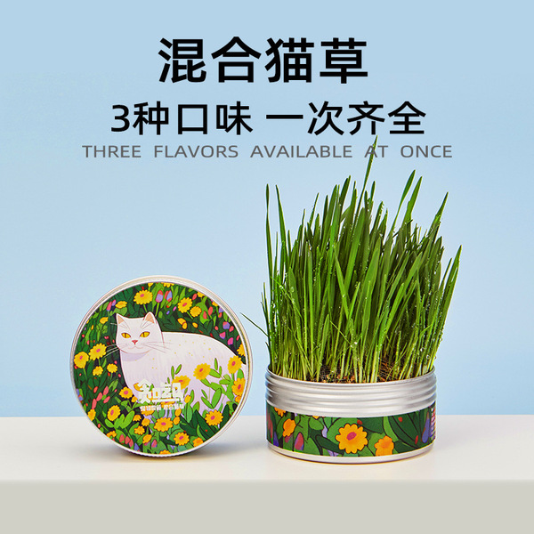 Portable Pet Cat Grass Kit with Aluminium Box Easy to Use