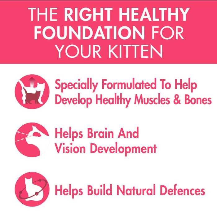 PURINA ONE Healthy Kitten Wet Cat Food with Chicken in Gravy 70g