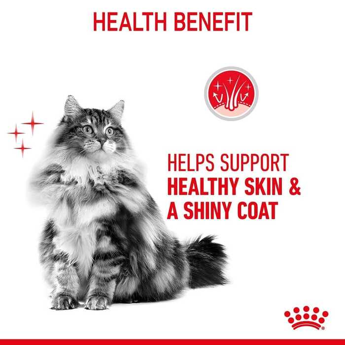 ROYAL CANIN HAIR & SKIN CARE in Jelly Healthy Skin Shiny Coat 85g