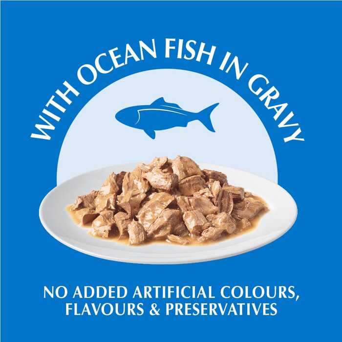 PURINA ONE Healthy Adult Wet Cat Food with Ocean Fish in Gravy 70g