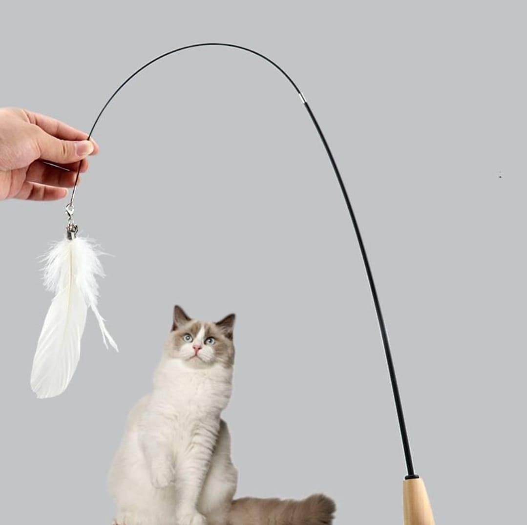 Wooden Handle Fishing Rod Teaser for Pet Cat Interactive Toy