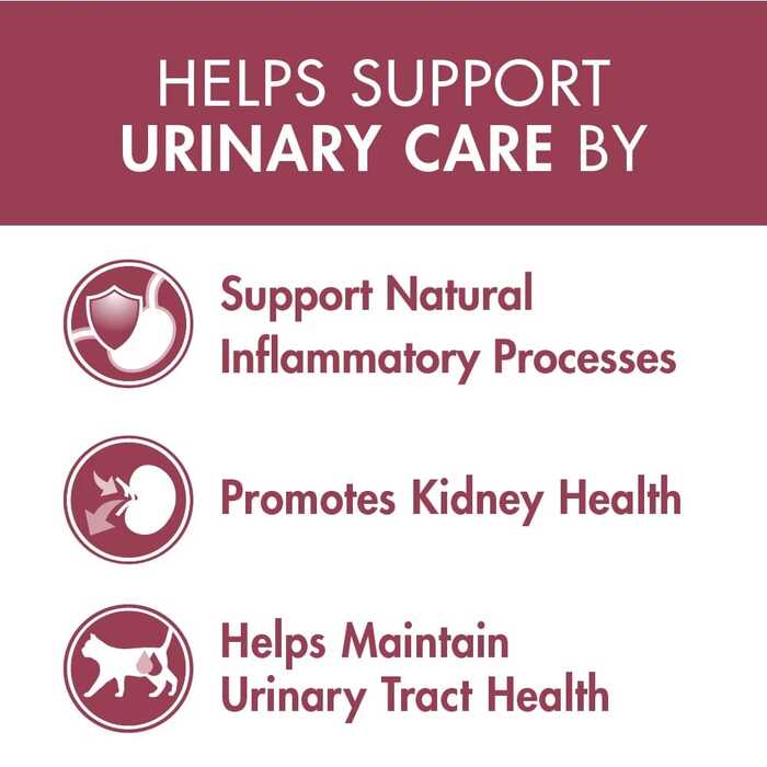 PURINA ONE Urinary Care Adult Cat Food with Chicken 2.7kg