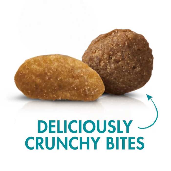 PURINA ONE Urinary Care Adult Cat Food with Chicken 2.7kg