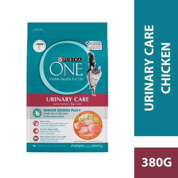 PURINA ONE Urinary Care Adult Cat Food with Chicken 380g