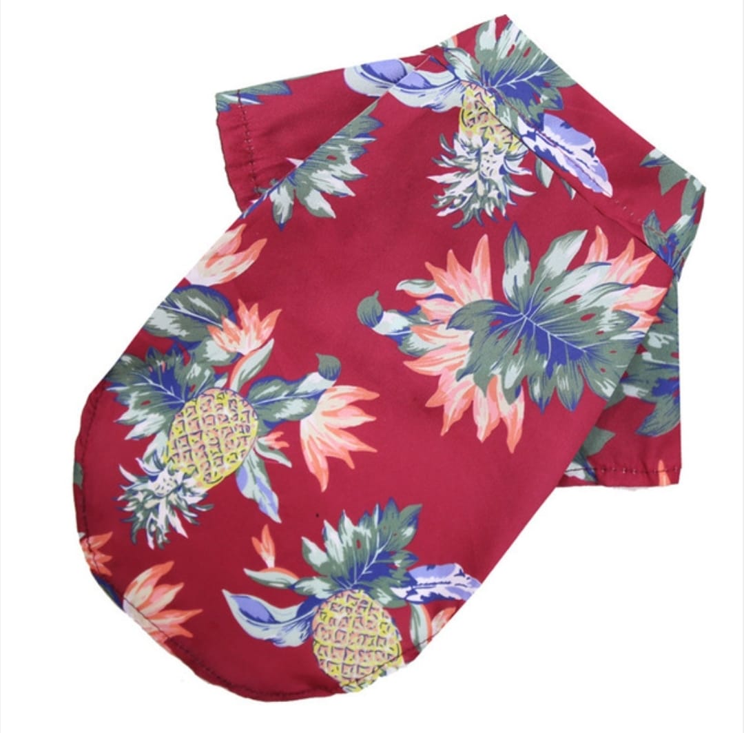 Printed Half sleeve Dress /  Shirt for Pet & Cat ( No Exchange)